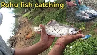 Fishing video Rohu fish catching river and hook fishing video 