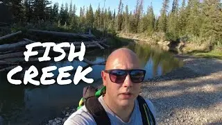 Creek Side Fishing for Trout | Got spooked #smallcreektroutfishing #troutfishing #solocreekfishing
