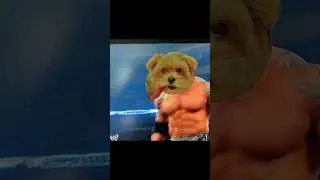 Buffy V Cena...  May the best dog win!