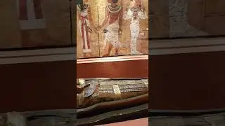 Museu Eg&iacute;pcio, Curitiba #shorts