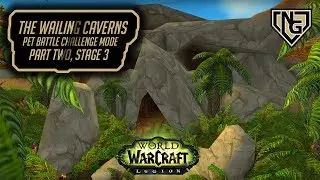 The Wailing Caverns - Pet Battle Challenge Mode. Complete Guide, WoW Legion 7.2.5 - Part 2