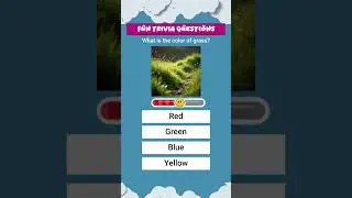 What&rsquo;s the Color of Grass? 🌿 | Color Quiz for Kids