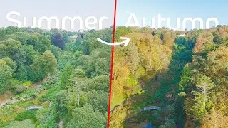 Summer To Autumn At Trebah Garden