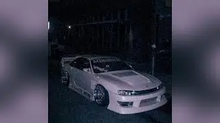 Velvet Nightfall