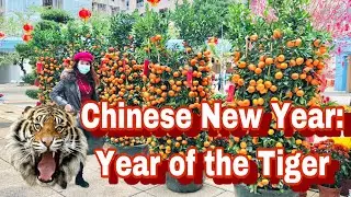 CHINESE NEW YEAR DECORATION at TIN YU | YEAR OF THE TIGER 2022