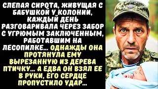 Старая ЦЫГАНКА умирая, отдала СТРАННИКУ младенца и медальон... А когда он открыл его...