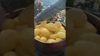 Making Vodka from Mashed Potatoes Is Real&mdash;An Ancient Russian Recipe 🥔🍸🤔 #shorts