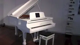 Magic Bechstein Grand Piano with Self-playing-system