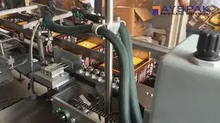 AYSPAK ( Esnek Paket) &Ccedil;ay  Kutulama Makinesi / (Flexible Packing) Tea Cartoner