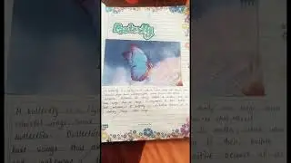 10th class English project butterfly,beetle,dragonfly#project #exam #learning #english #10thclass