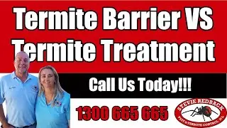 Termite Treatment vs Termite Barrier| Kordon | Termseal Termite Protection System