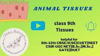 animal tissues (part 1) muscular tissues, neuron