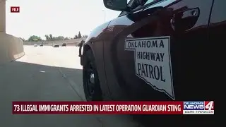 73 illegal immigrants arrested in latest Operation Guardian sting
