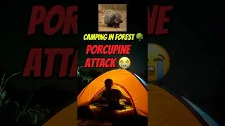 Deep Forest Camping With Friends 🏕️🌳 || Group Camping In Dangerous Deep Forest 😨 #minivlog #vlog