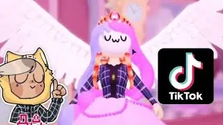 Кошка Лана крутые видео из тик-тока #3