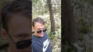 AI маршрут спуска 🤣🏃🏔#shortvideo #ai #shorts #short #running  #travel