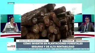 Vía Radio Nacional: Serfor destaca potencial del Perú para atraer inversiones forestales sostenibles