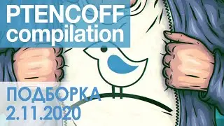 Подборка приколов из Ptencoff /// Выпуск: 15 /// Ptencoff compilation 2/11/2020]
