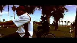 SON DOMINICANOS