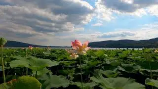 5  Guided Meditation For Deep Sleep Relaxation  Positive Energy  Stress Relief