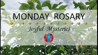 Monday Rosary • Joyful Mysteries of the Rosary 💙 August 4, 2025 - Multiple Languages Available!