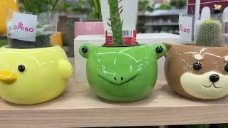 #002  DAISO DE JAPON
