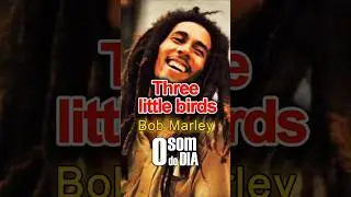 O Som do Dia - Three little birds #osomdodia #reggae  #musicaboa #bobmarley #threelittlebirds