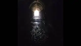 Swan View Tunnel: A quick look, John Forrest NP, Perth