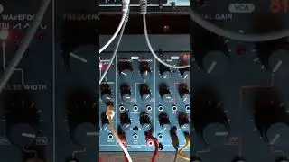 Sequencer Funk. System80 810 Mk2 & 880 with RYK M185 and Intellijel Dual ADSR. #stazma #eurorack