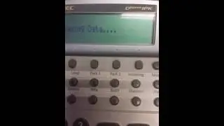 IP phone restart
