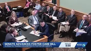 Iowa Senate advances bill to remove foster parent training requirements
