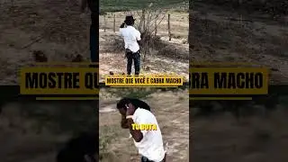 MOSTRE QUE VOC&Ecirc; &Eacute; CABRA MACHO 🔥🍯🐝😗🎶🤣 #humor #memes #comedia #engra&ccedil;ado