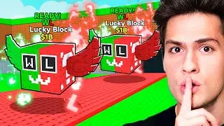 I Opened 100 W or L Lucky Blocks..
