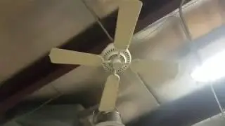 UPDATED Video Tour Of Installed Ceiling Fans At My Habitat Restore (plus demonstrations & spindown)