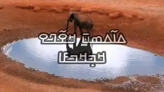 Mamoudou Kono - Konkoba