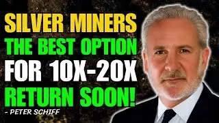 20X Silver & Gold Investing Playbook: A Crisis Worse Than 2008 | Peter Schiff Silver Stocks