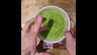 Duckweed Salad