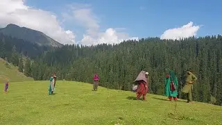 Jammu Kashmir gujjar community unknown facts #Gujjar #Bakarwal #bukarwal #community #BasicFacilities