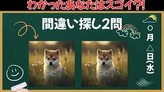 【間違い探し】これがわかったあなたの脳年齢は若い！！サクッと脳を活性化！