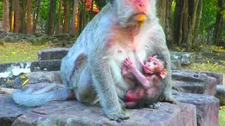 Cute Baby Get Milk Look So Hungry