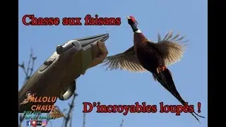 Incroyable journ&eacute;e de chasse au petit gibier !