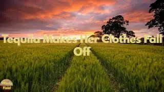 Joe Nichols - Tequila Makes Her Clothes Fall Off (Lyrics)