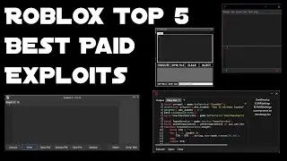 ROBLOX Top 5 Paid Exploit ( What is the best Paid Exploit? )