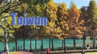 VLOG037.A Moment of Gathering After Thousands of Miles