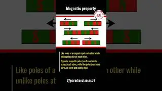 Magnetic Properties of Magnets | Class 10 Physics | Paradise Classes
