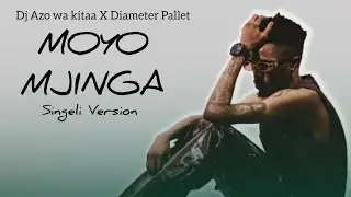 Dj Azo wa kitaa X Diameter Pallet - Moyo Mjinga (Singeli Version)