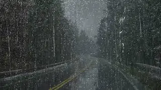 Deep Sleep Quickly 😴 Soft Rainfall on a Silent Scenic Road