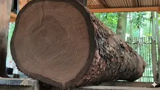 *Очень приятно наблюдать за скоростью обработки древесины рабочими на лесопилке*