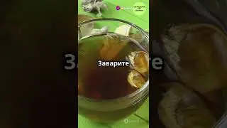 #подорожник #жолжелкен #народнаямедицина #лечебныетравы