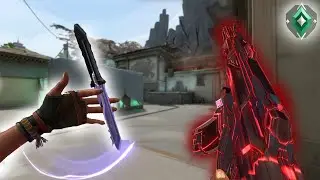 How A Washed Immortal 3 Plays Raze (With Notes)